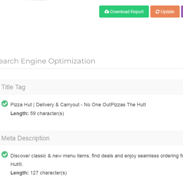 Nikastic SEO Analyzer Teaser