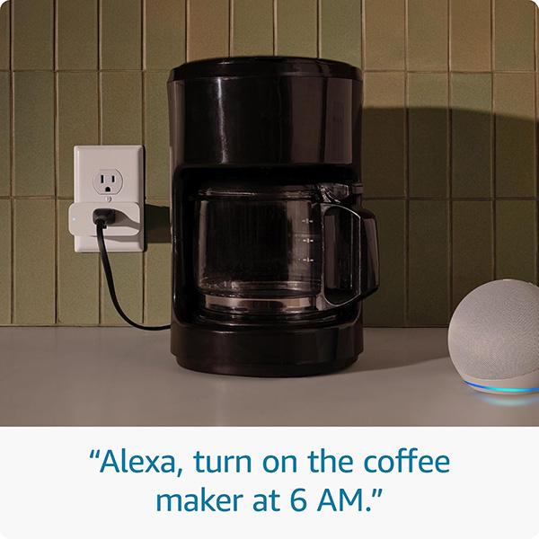Amazon Smart Plug - Works with Alexa, Simple setup, Endless possibilities