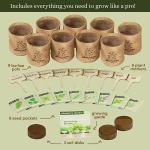 Planters' Choice 9 Herb Indoor Window Garden Kit - House Plants Seeds